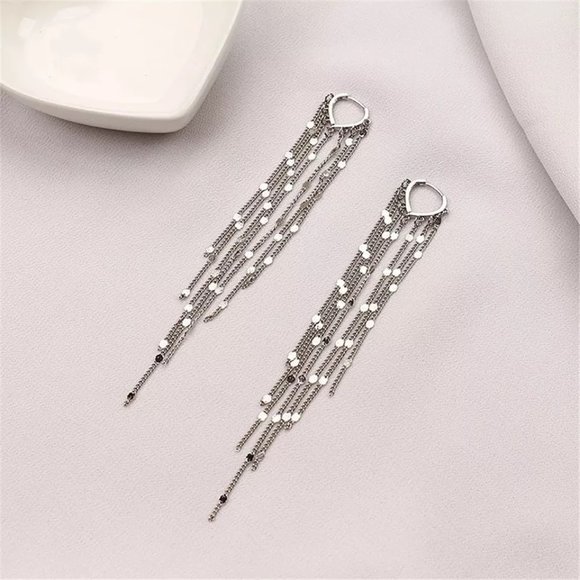 Long Tassel and Disc Dangle Silver Earrings - Picture 3 of 5